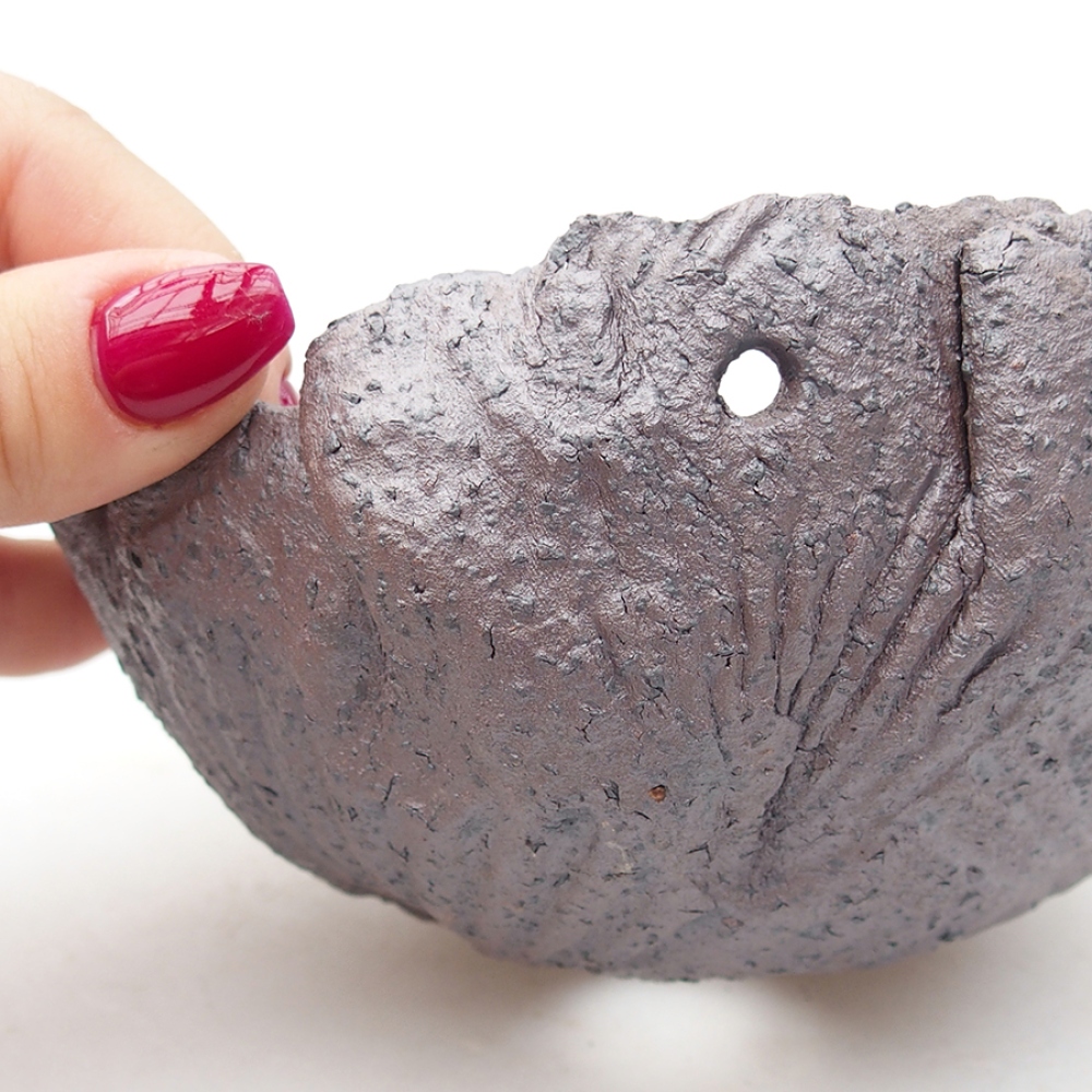 Muszla ceramiczna 13,5 x 13 x 7 cm, kolor metaliczny