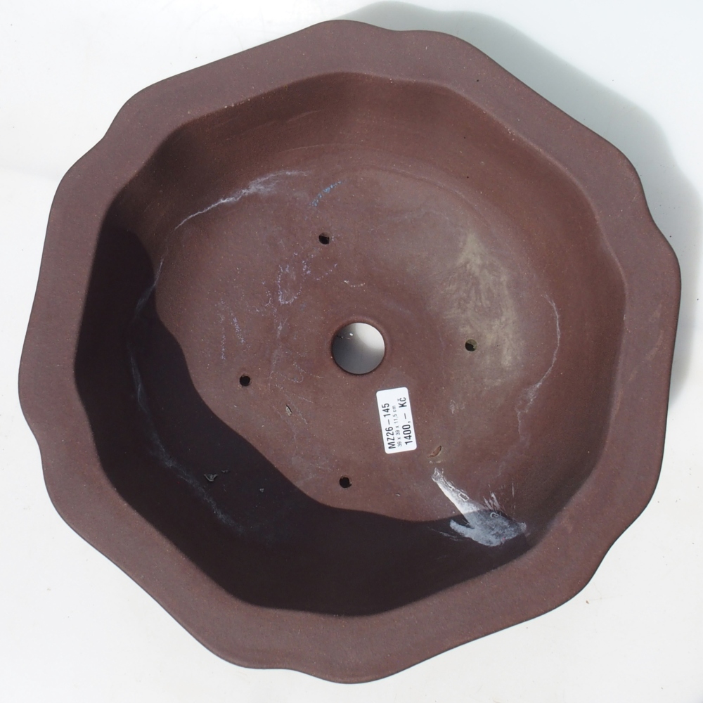 Misa bonsai 39 x 39 x 11,5 cm brzoza brązowa