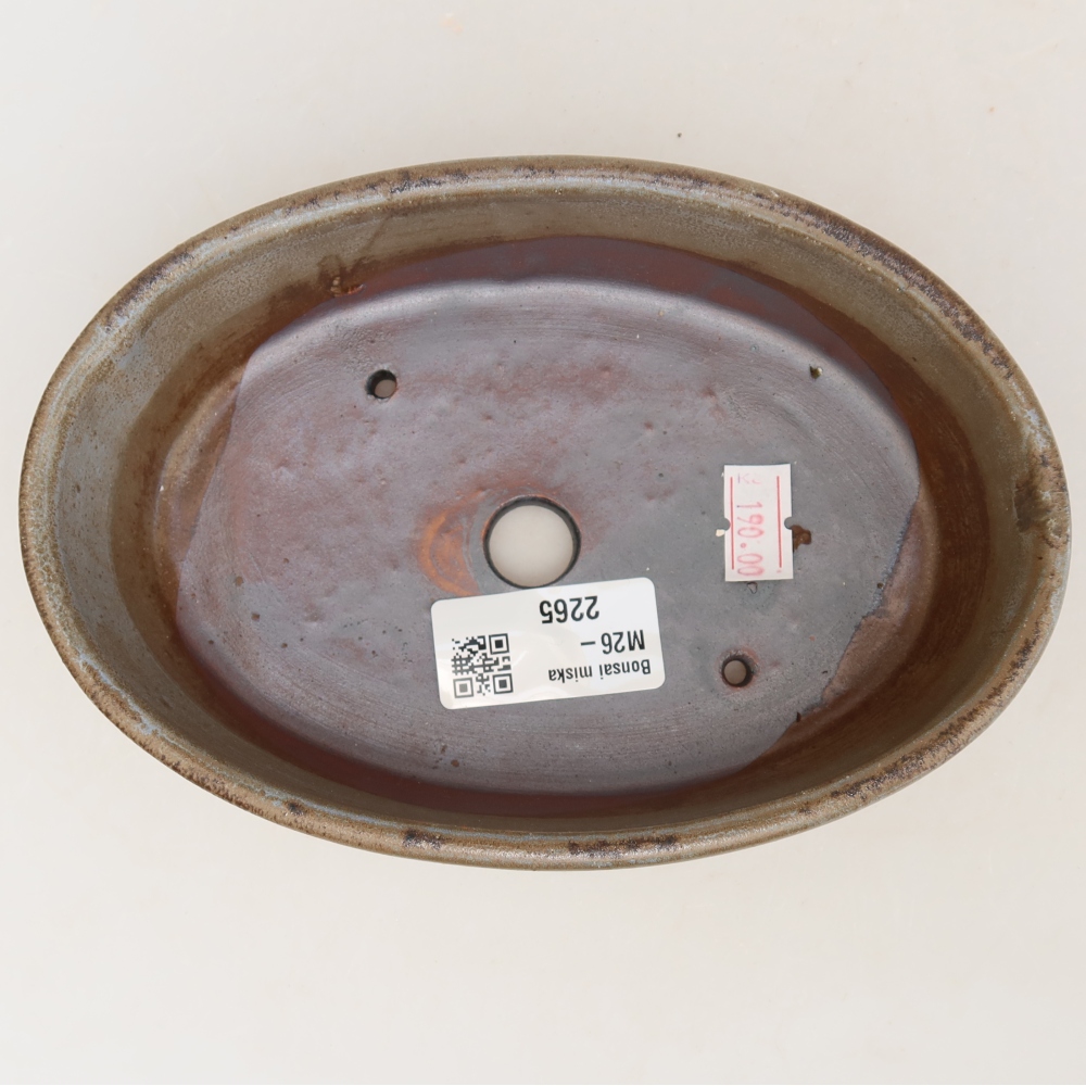 Ceramiczna miska do bonsai 16,5 x 11,5 x 4,5 cm, brązowa