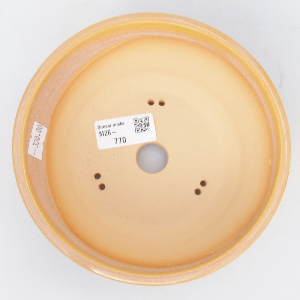 Ceramiczna miska do bonsai 16 x 16 x 5,5 cm, kolor brązowo-żółty