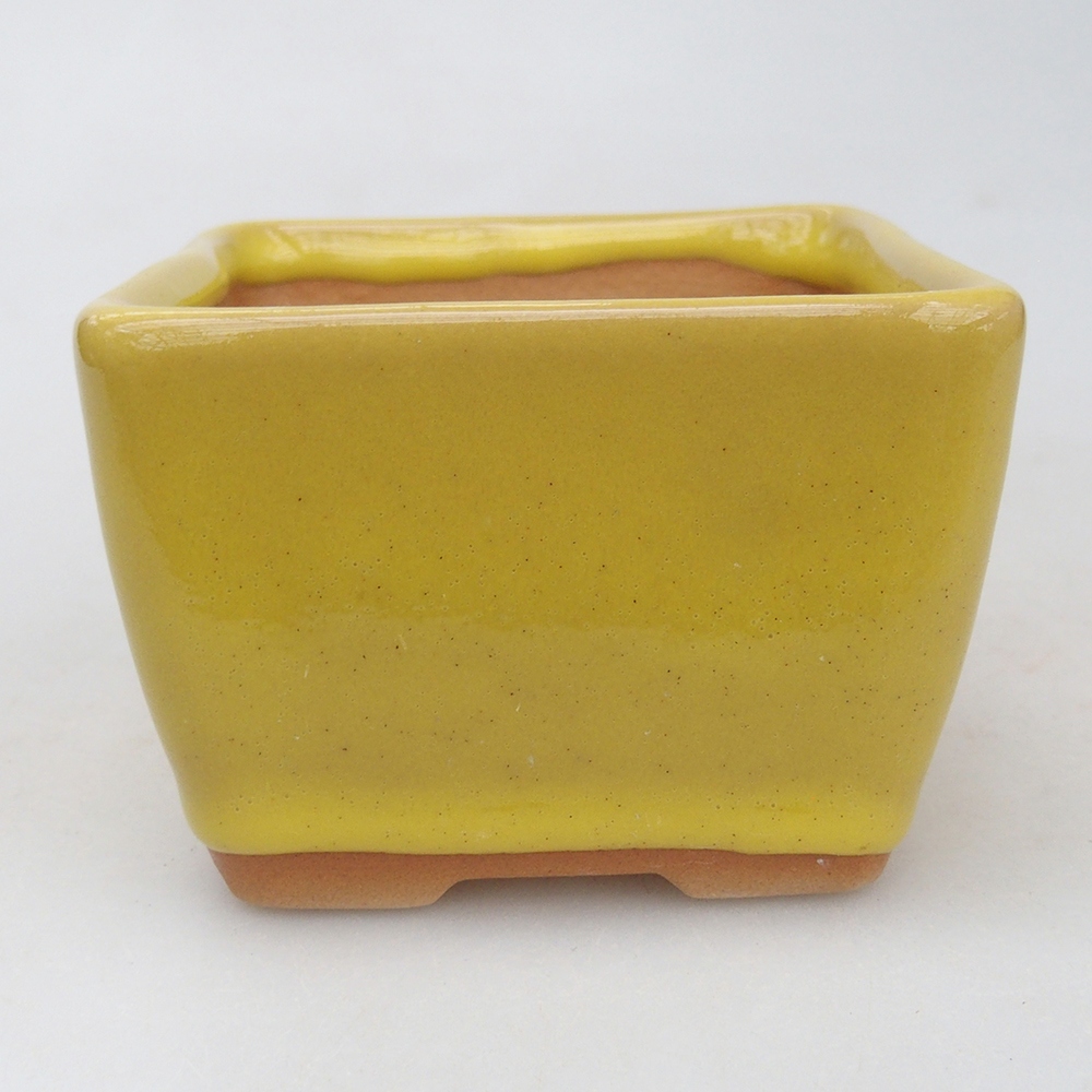 Ceramiczna miska do bonsai 8,5 x 8,5 x 6 cm, żółta