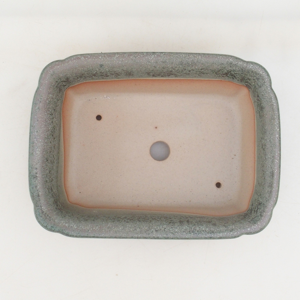Miska bonsai H50 - 17 x 12,5 x 5,5 cm. - brązowy
