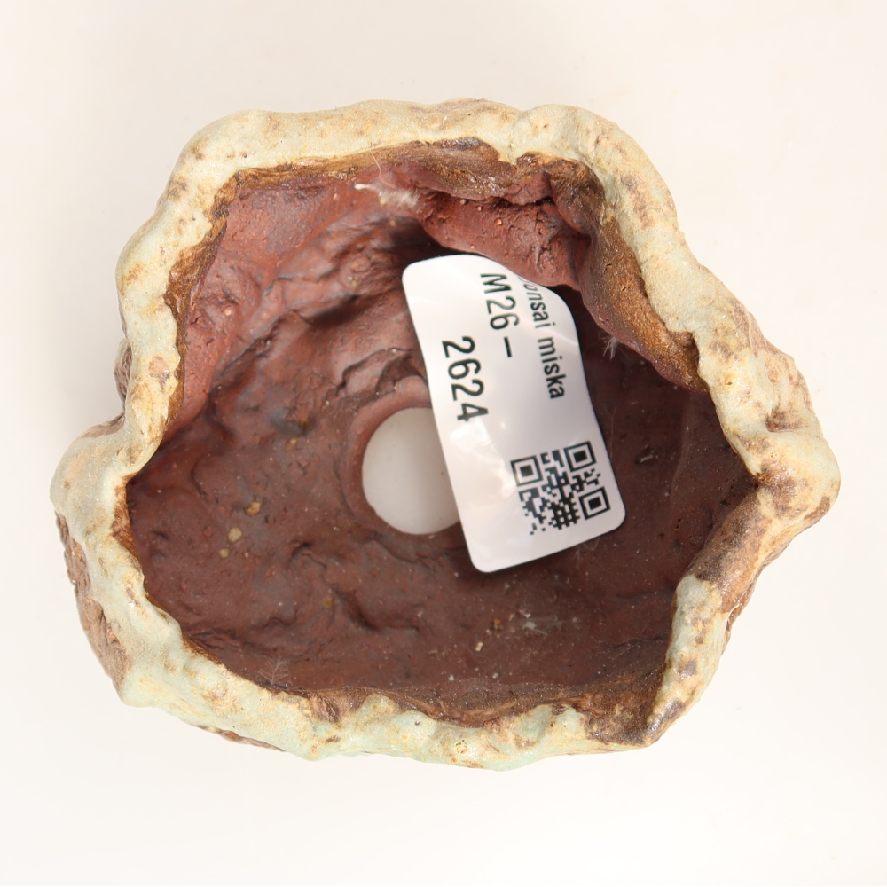Ceramiczna skorupka  7,5 x 7,5 x 4,5 cm, kolor zielony