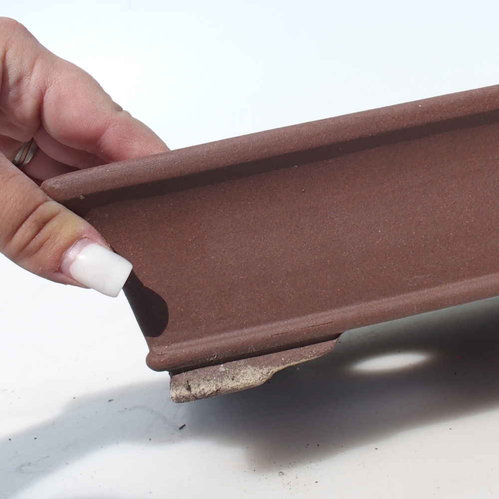 Misa bonsai 30 x 24 x 7 cm brzoza brązowa