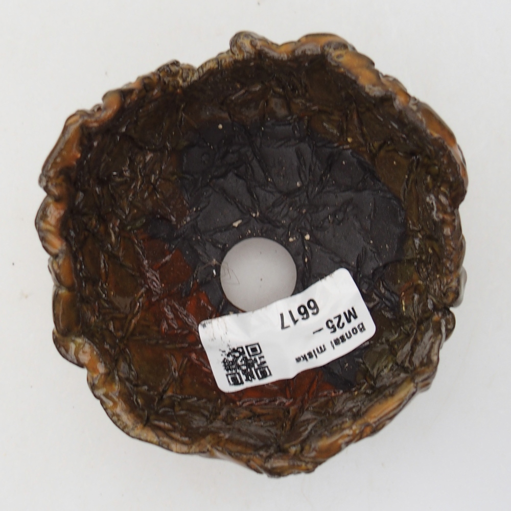Ceramiczna muszla 8,5 x 8,5 x 6 cm, kolor brązowy