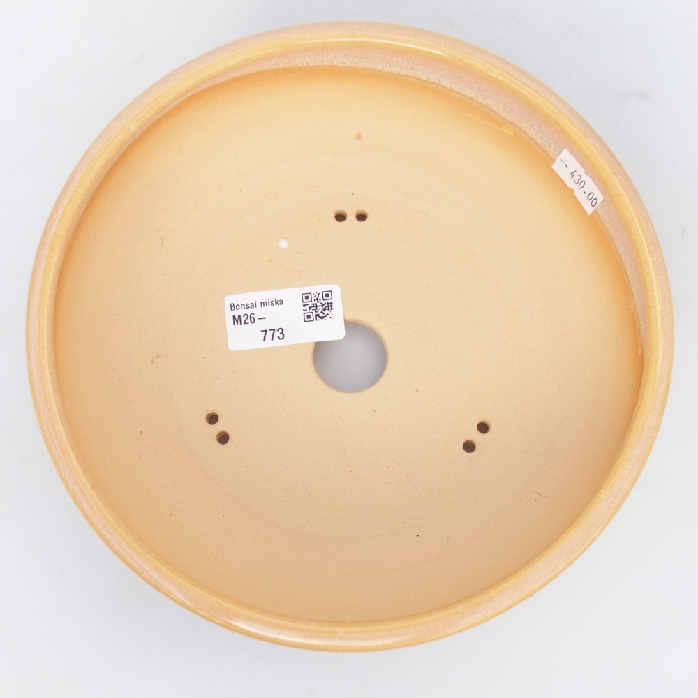 Ceramiczna miska do bonsai 19,5 x 19,5 x 6 cm, kolor brązowo-żółty
