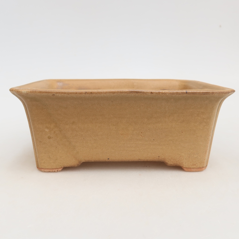 Ceramiczna miska na bonsai 18 x 14 x 7 cm, kolor beżowy