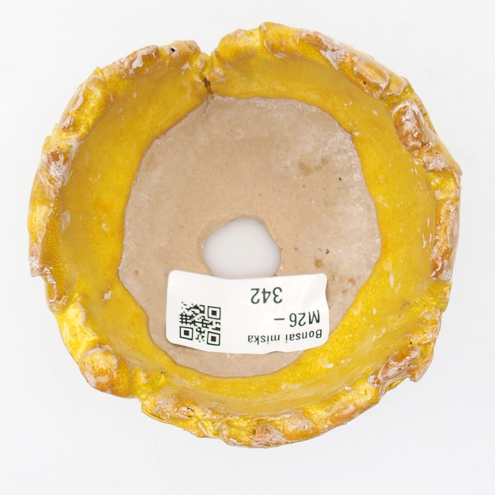 Ceramiczna muszla 8,5 x 8,5 x 6 cm, żółta