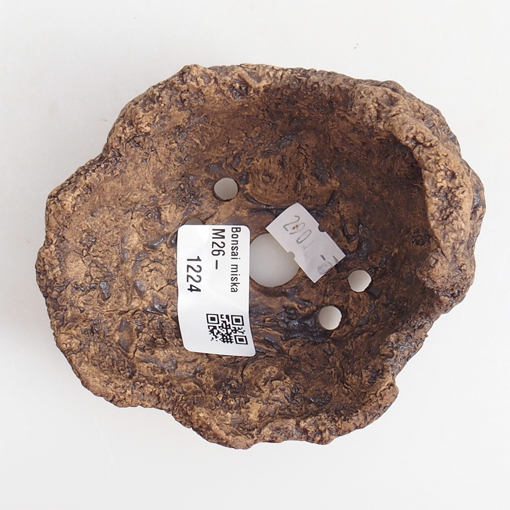 Ceramiczna muszla 9,5 x 9 x 8,5 cm, kolor brązowy