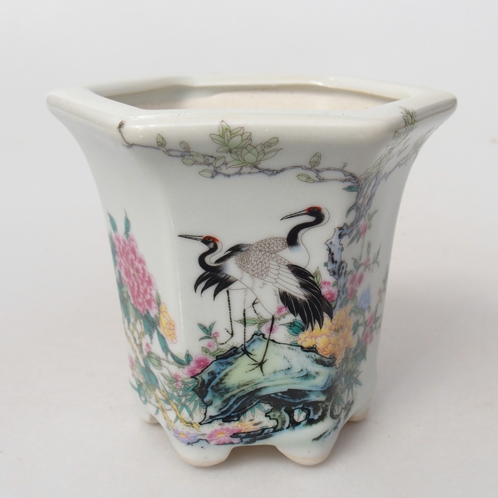 Ceramiczna miska do bonsai 10 x 9 x 9 cm, kolor biały