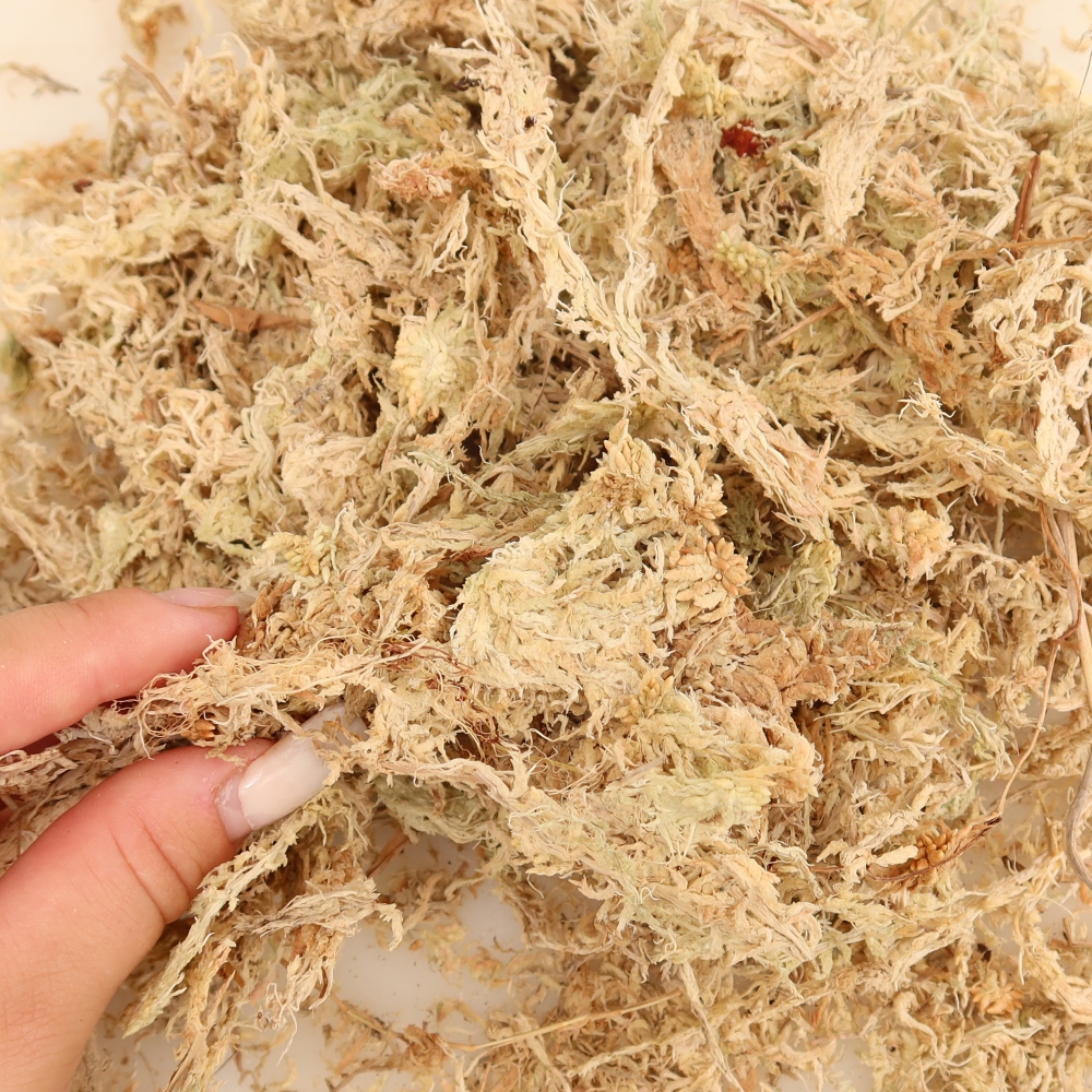 Sphagnum – torfowiec 150 g