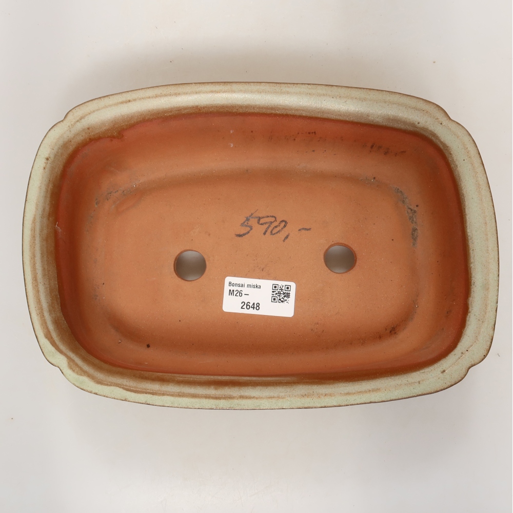 Miska ceramiczna  24,5 x 17,5 x 6 cm, kolor beżowy