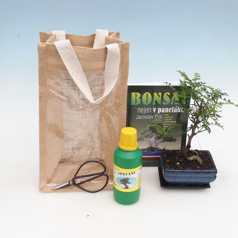 Bonsai pokojowe w woreczku prezentowym - JUTA