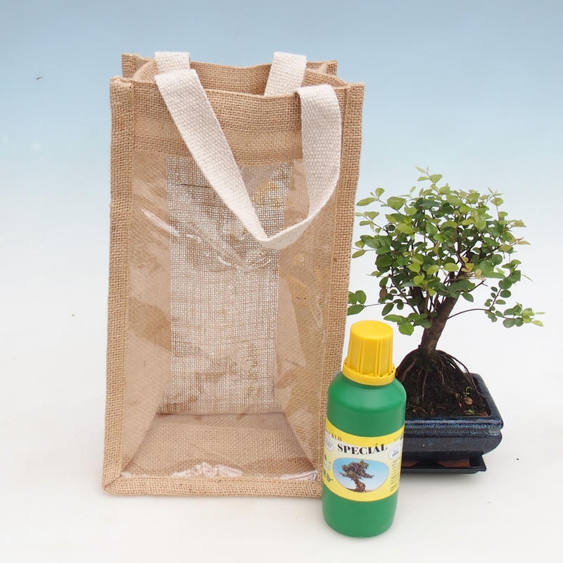 Bonsai pokojowe w woreczku prezentowym - JUTA