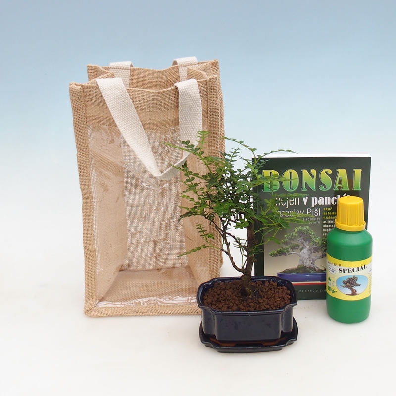 Bonsai pokojowe w woreczku prezentowym - JUTA
