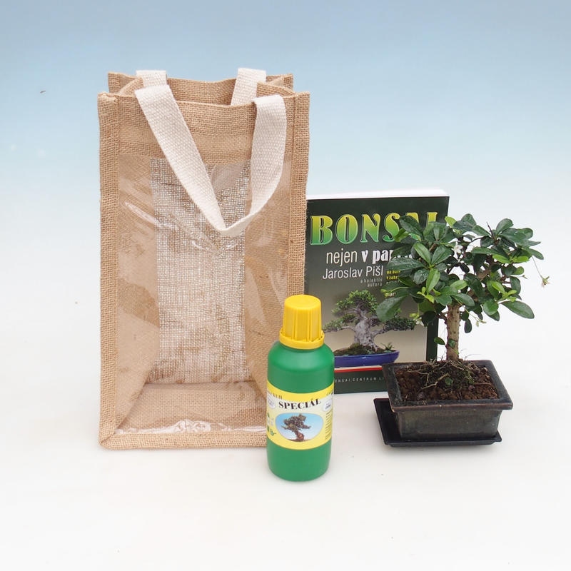 Bonsai pokojowe w torbie prezentowej - JUTA Carmona-tea fuki