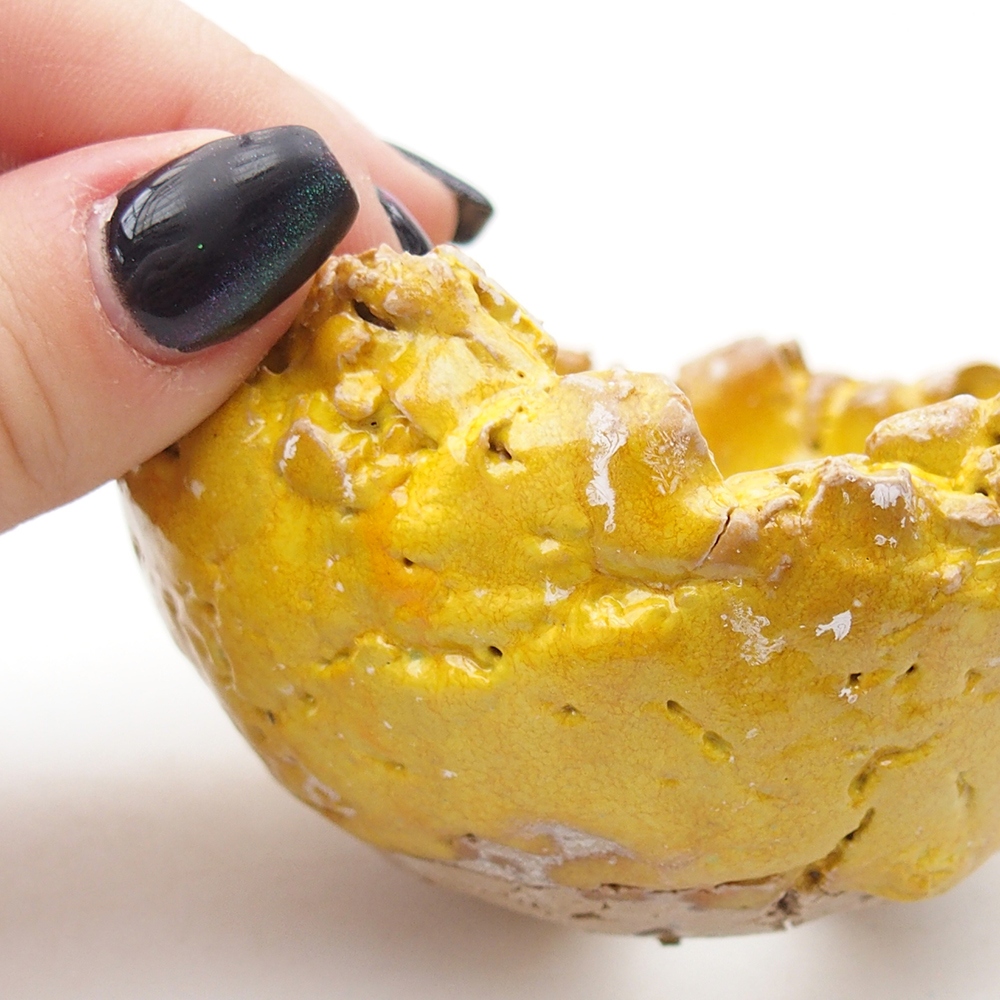 Ceramiczna skorupa 9 x 8,5 x 5,5 cm, kolor żółty