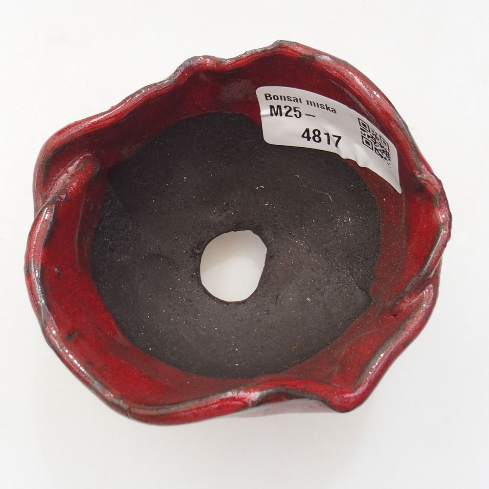 Muszla ceramiczna 8 x 8 x 7 cm, kolor czerwony