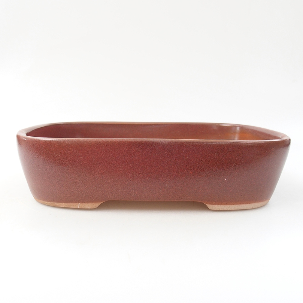 Ceramiczna miska bonsai 23 x 18 x 5,5 cm, kolor bordowy