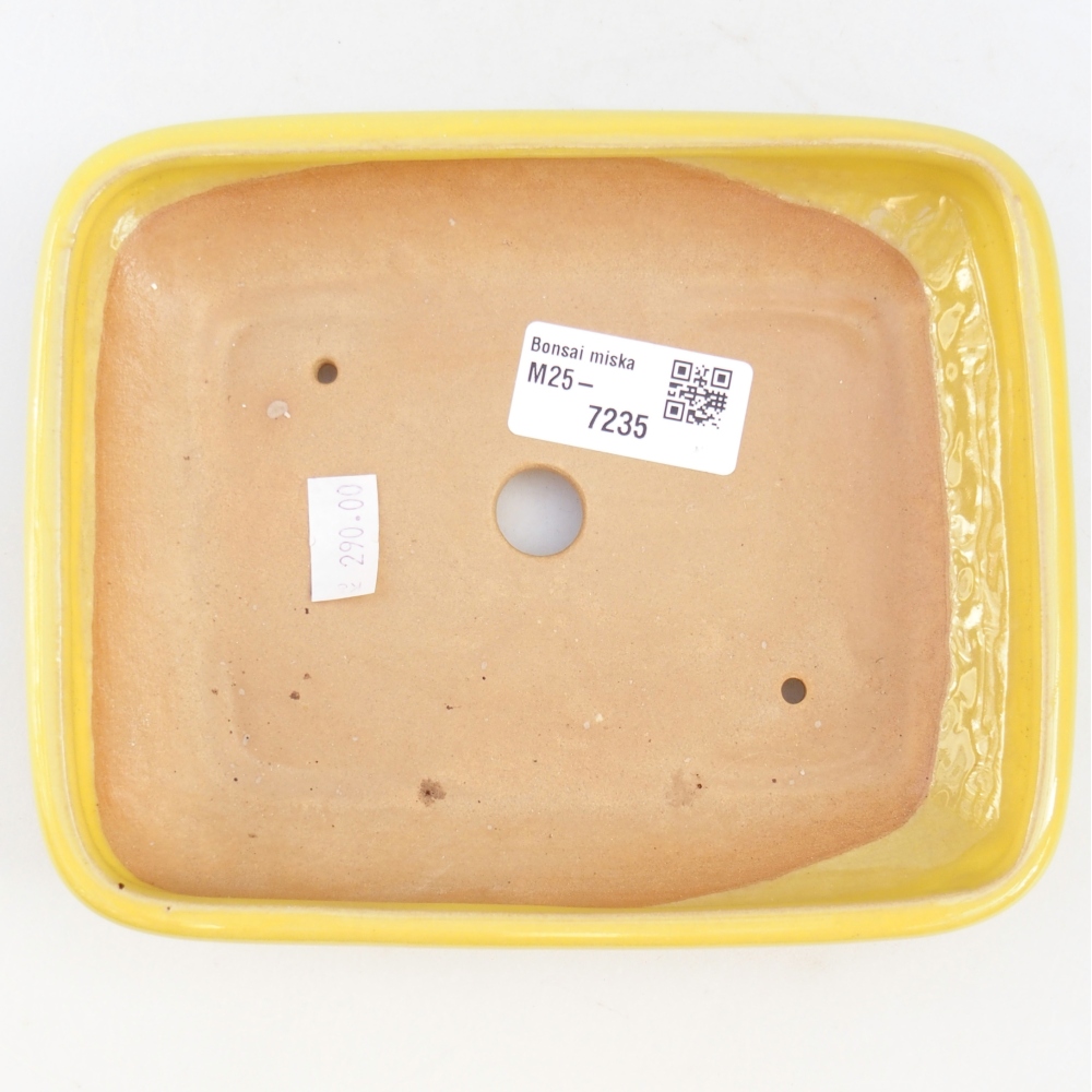 Ceramiczna miska do bonsai 16,5 x 13,5 x 3,5 cm, żółta