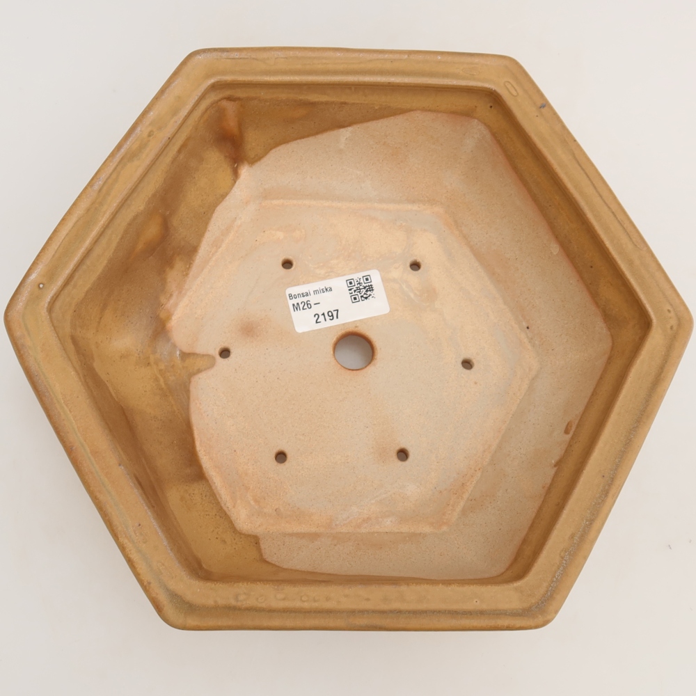 Ceramiczna miska do bonsai 24 x 21,5 x 7,5 cm, kolor beżowy