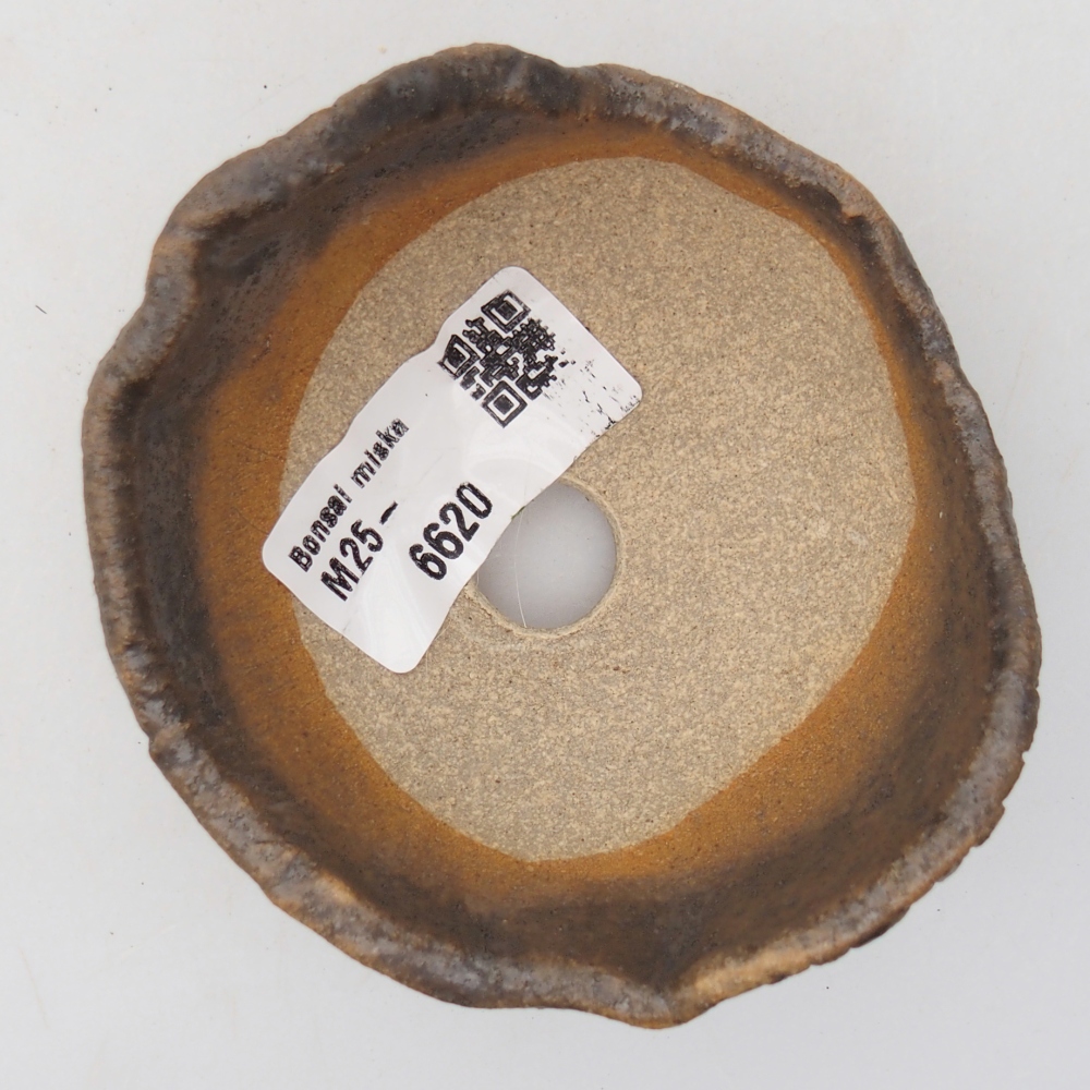 Ceramiczna muszla 8,5 x 8,5 x 7 cm, kolor brązowy