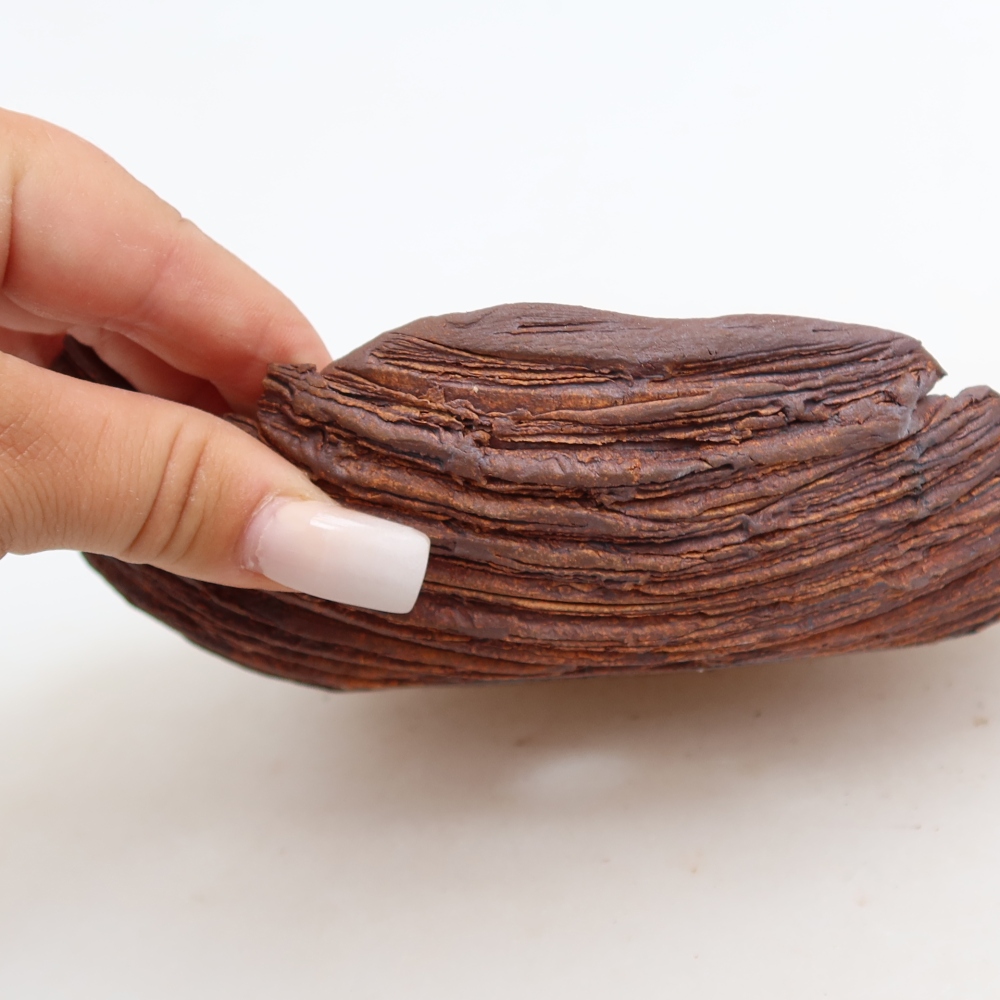 Ceramiczna skorupa  21 x 15 x 5,5 cm, kolor brązowy