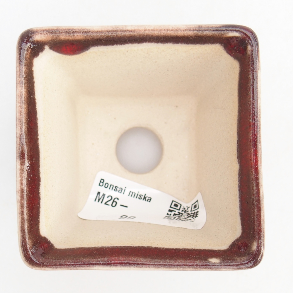 Mini miska do bonsai 6 x 6 x 5 cm, kolor czerwony