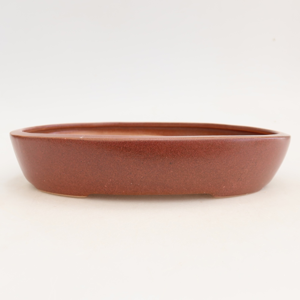 Ceramiczna miska do bonsai 22 x 17 x 4 cm, kolor bordowy