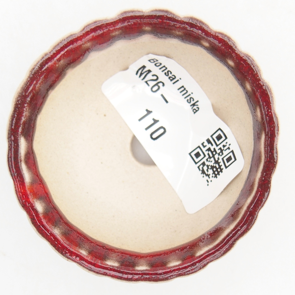 Mini miska do bonsai 5,5 x 5,5 x 2,5 cm, kolor czerwony