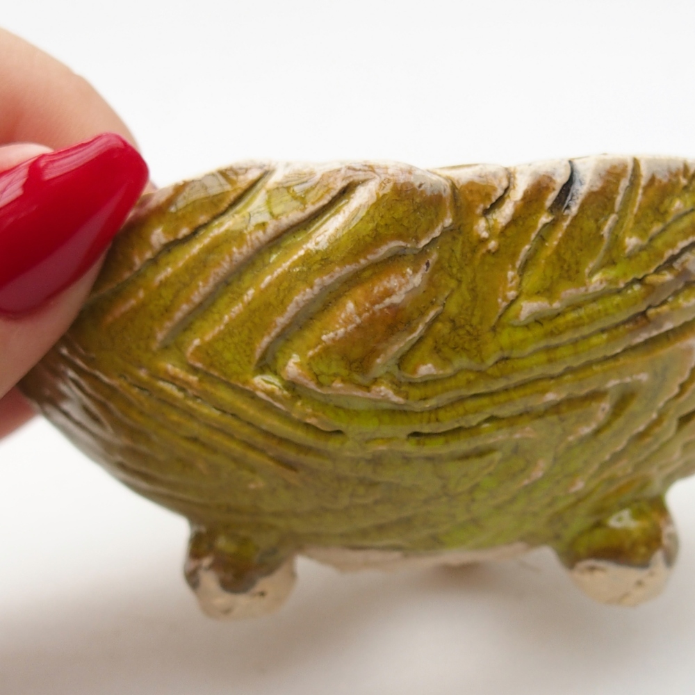 Ceramiczna skorupa 9 x 8,5 x 5 cm, żółta