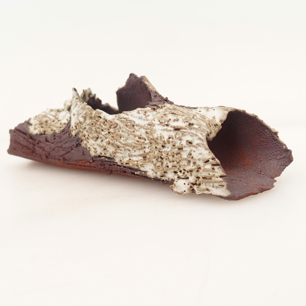 Muszla ceramiczna 11 x 4 x 3 cm, kolor beżowy
