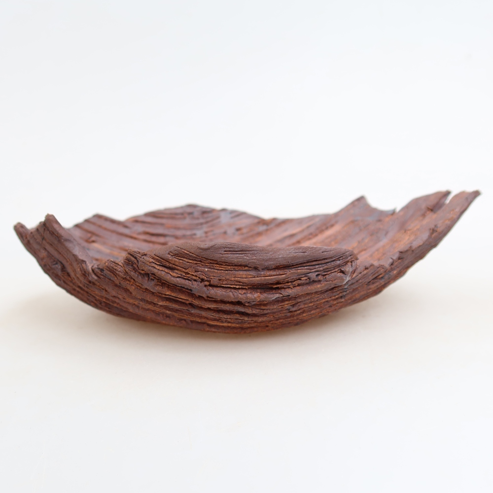 Ceramiczna skorupa  21 x 15 x 5,5 cm, kolor brązowy