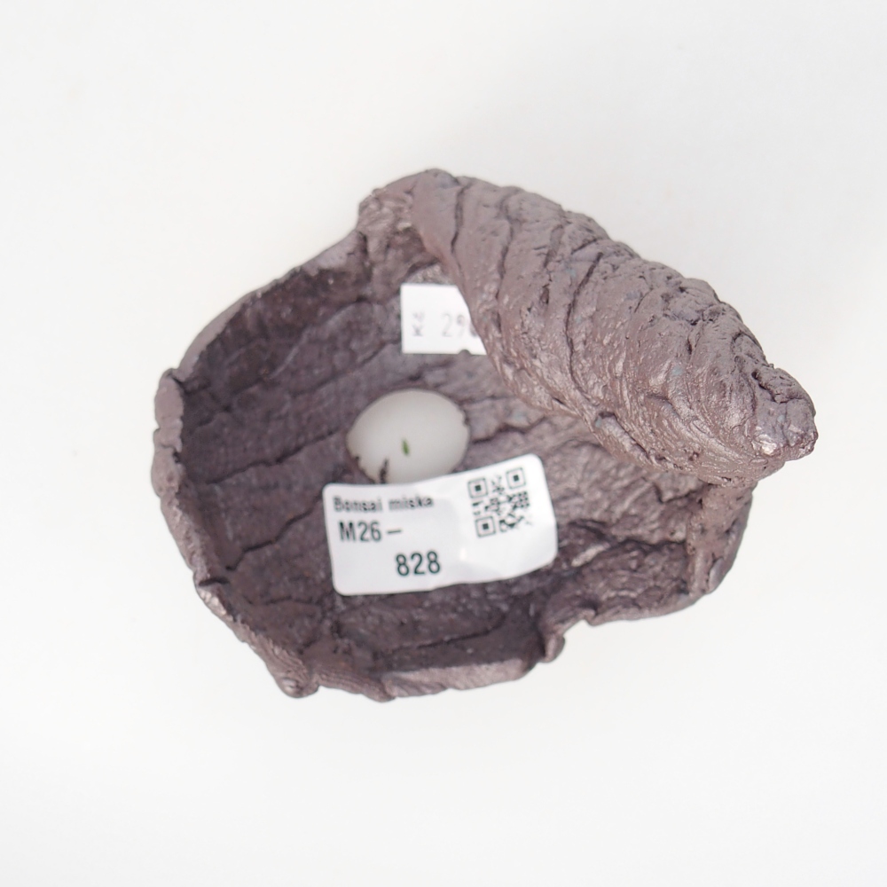 Muszla ceramiczna 8 x 8 x 12 cm, kolor metaliczny