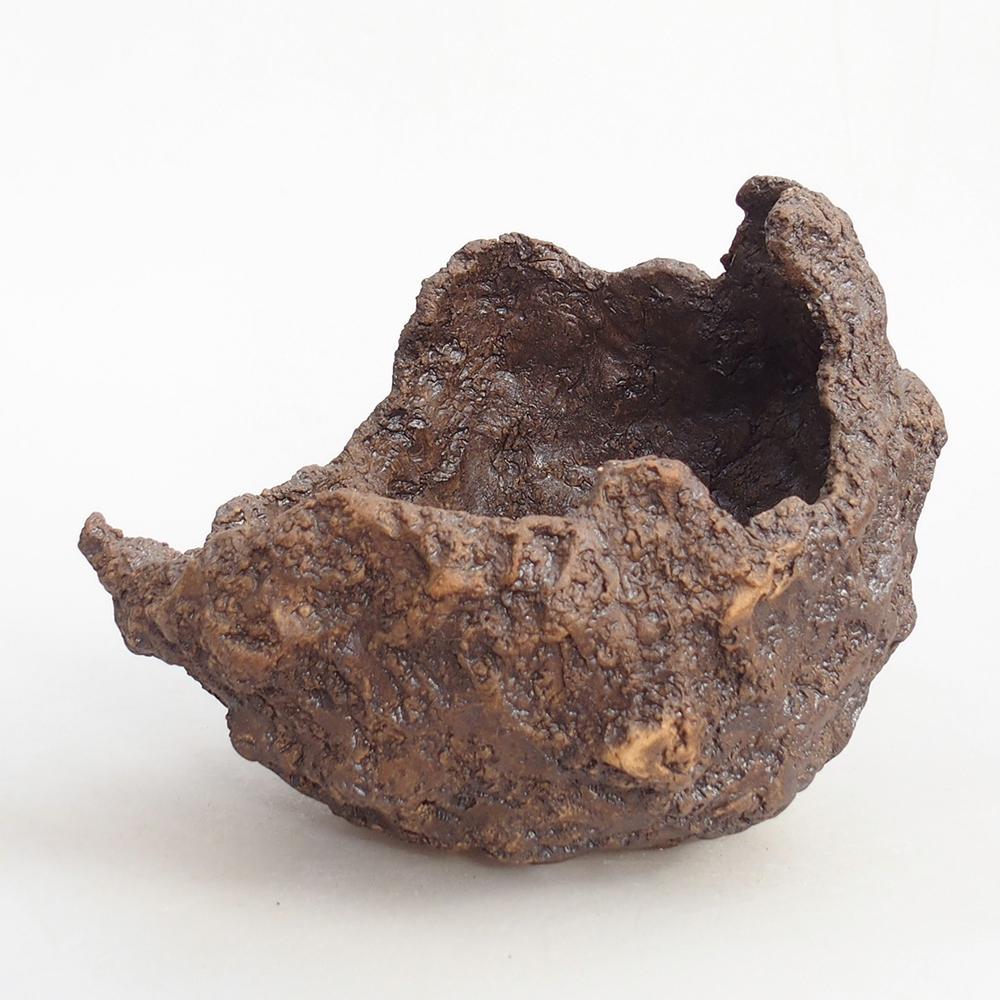 Ceramiczna skorupa 19 x 15 x 14 cm, kolor brązowy