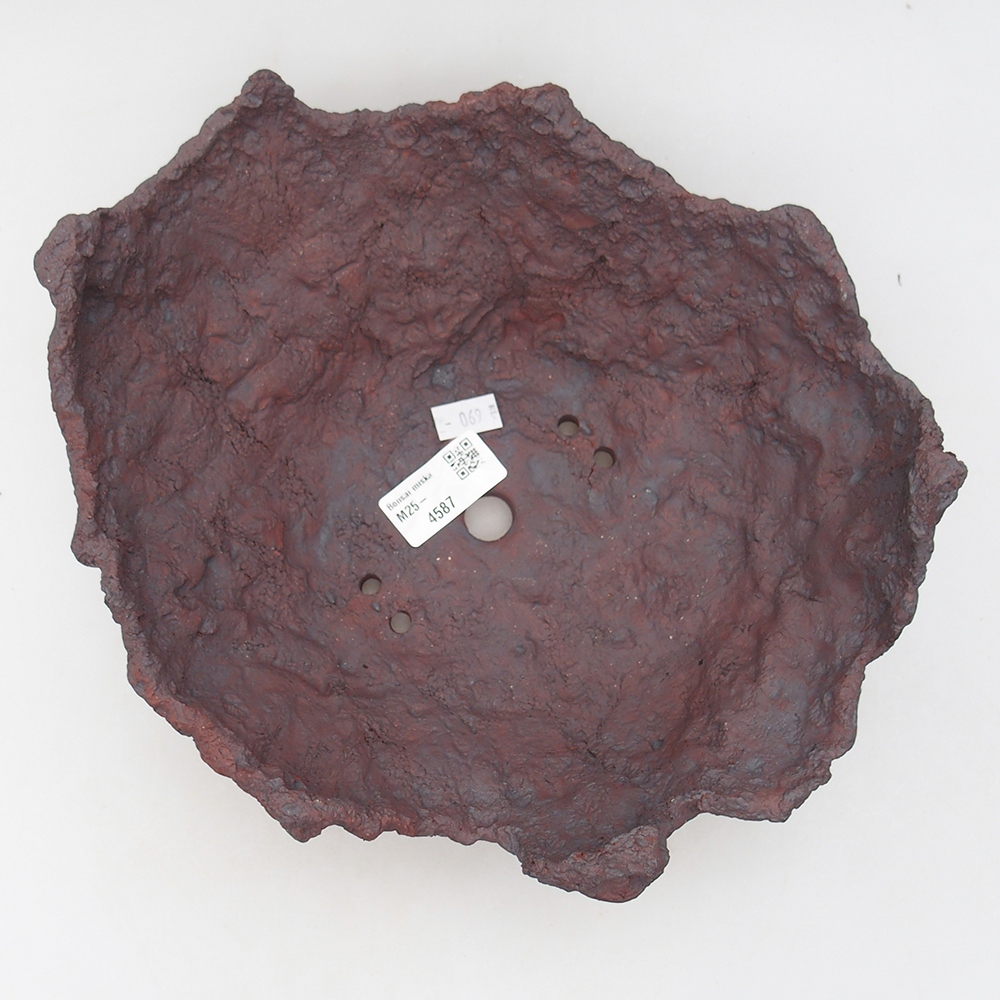 Muszla ceramiczna 26 x 21 x 10 cm, kolor brązowy