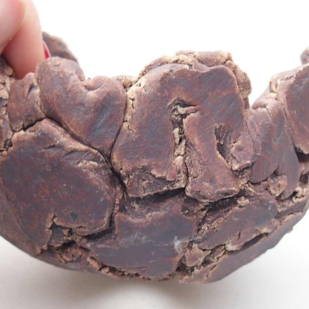 Ceramiczna muszla 9 x 9 x 6 cm, kolor brązowy