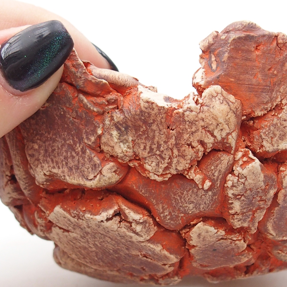 Muszla ceramiczna 11 x 11 x 6 cm, kolor pomarańczowy