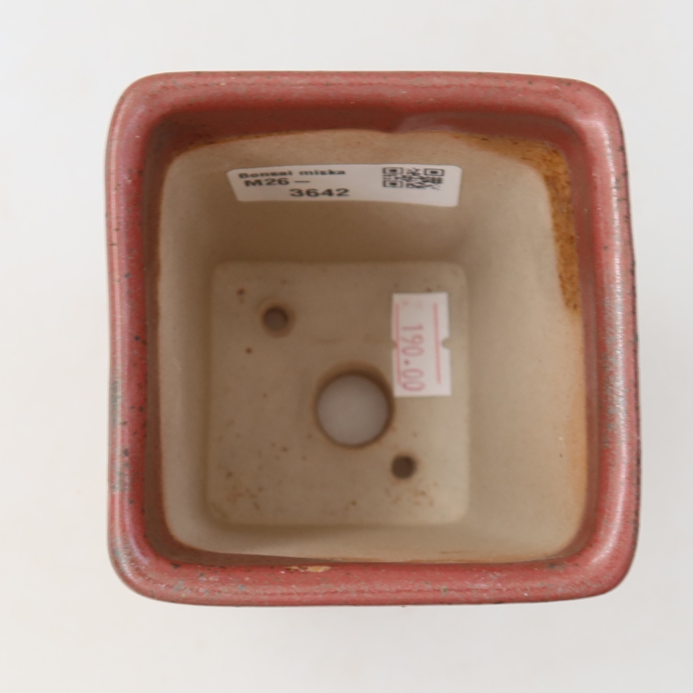 Ceramiczna miska do bonsai 7,5 x 7,5 x 10,5 cm, kolor różowy