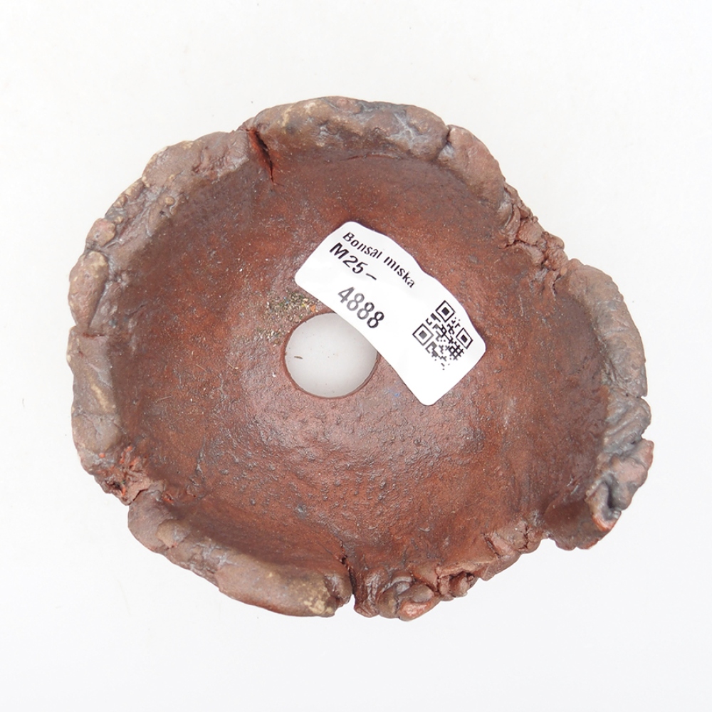 Muszla ceramiczna 10 x 9 x 7 cm, kolor brązowy