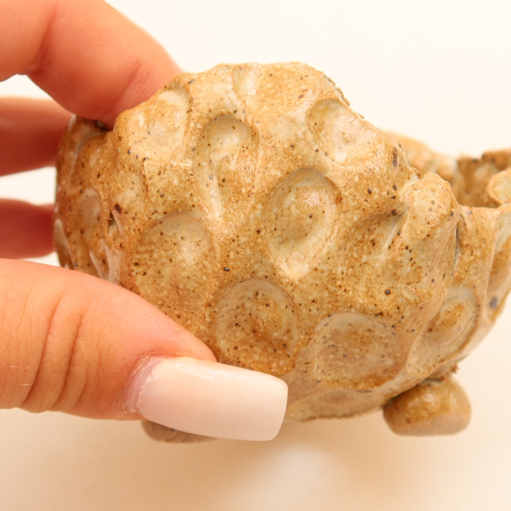 Ceramiczna muszla 8,5 x 8,5 x 6 cm, kolor beżowy