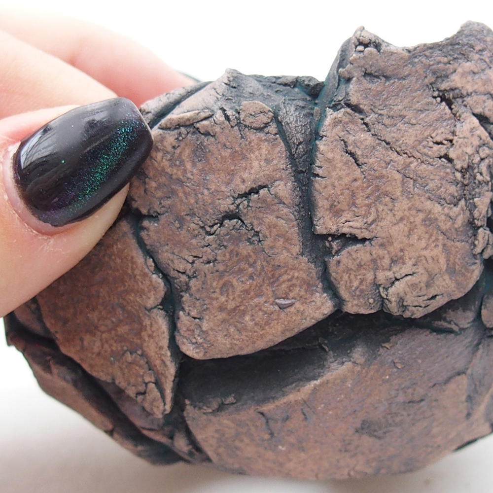 Ceramiczna muszla 9 x 8,5 x 6 cm, kolor zielony