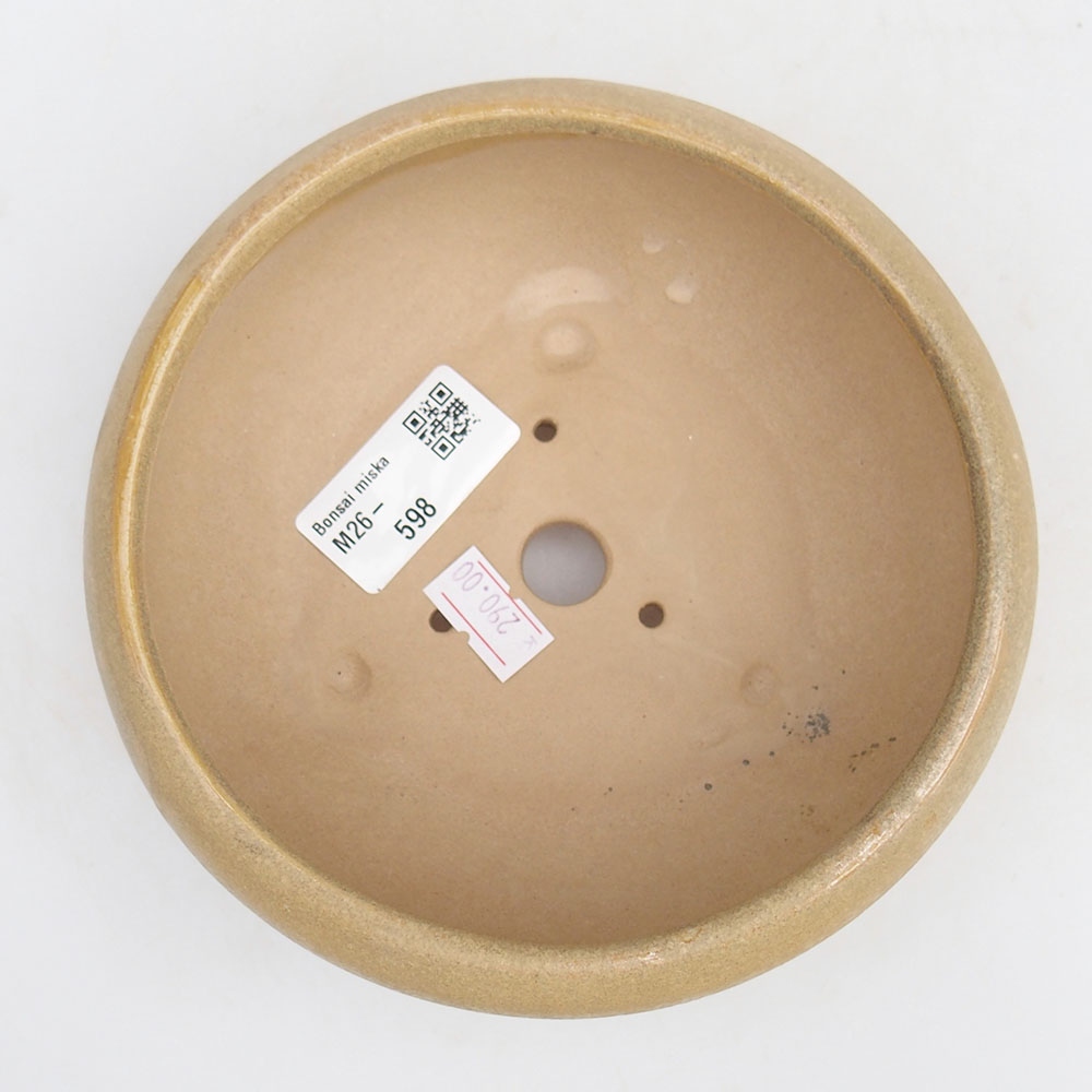 Ceramiczna miska na bonsai 14 x 14 x 6,5 cm, kolor beżowy