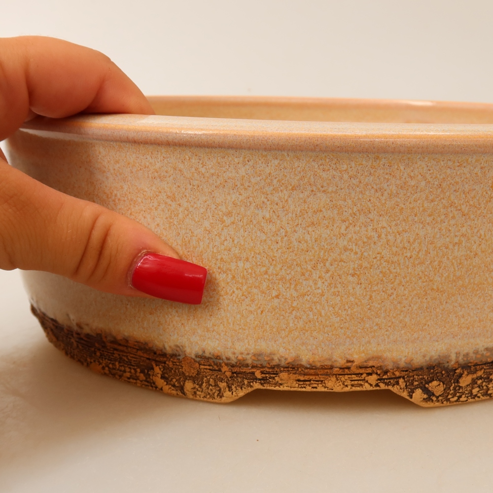 Ceramiczna miska do bonsai 24,5 x 24,5 x 8 cm, kolor beżowy