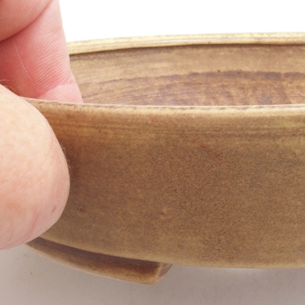 Ceramiczna miska do bonsai 15 x 13,5 x 3,5 cm, kolor Żółty