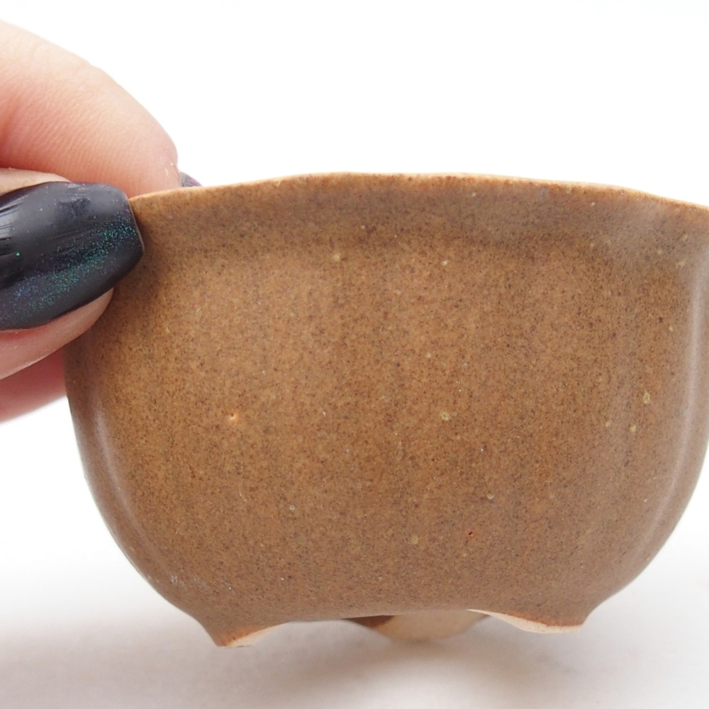 Mini miska do bonsai 7,5 x 7,5 x 3,5 cm, brązowa