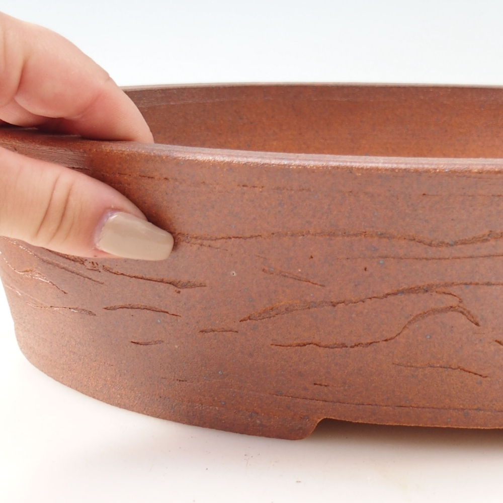 Misa bonsai 34 x 26 x 8 cm, kolor brązowy
