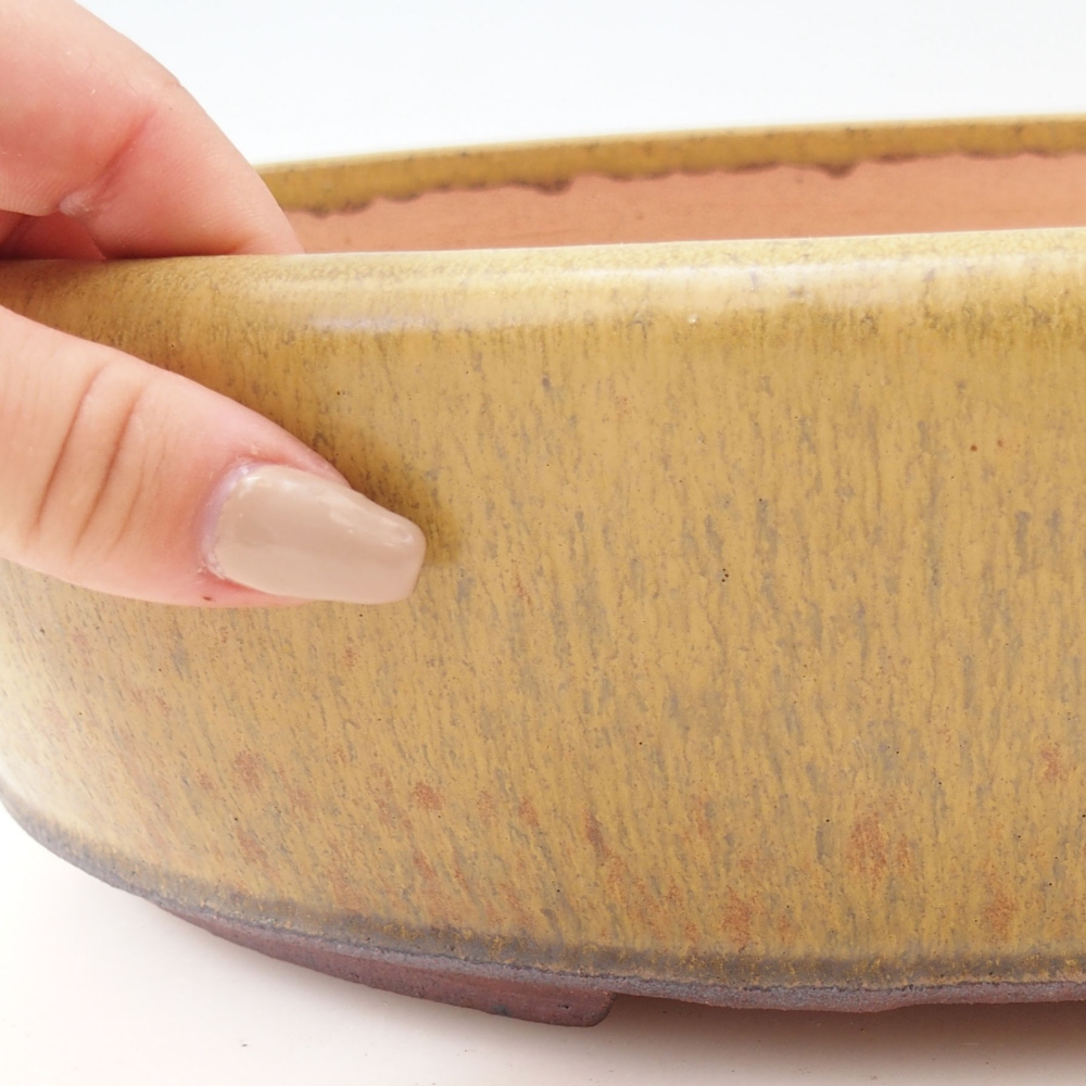 Misa do bonsai 33 x 25 x 8,5 cm, kolor żółty