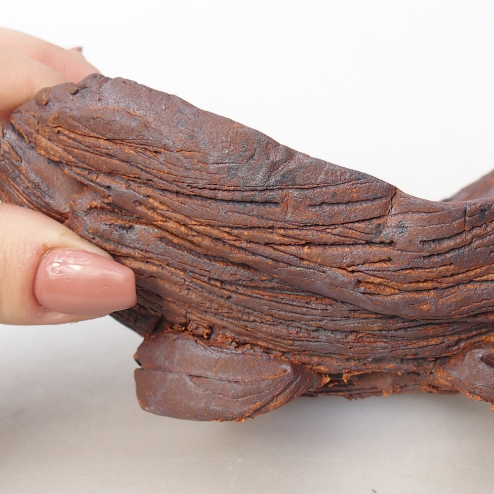 Ceramiczna muszla 16 x 10,5 x 8,5 cm, kolor brązowy