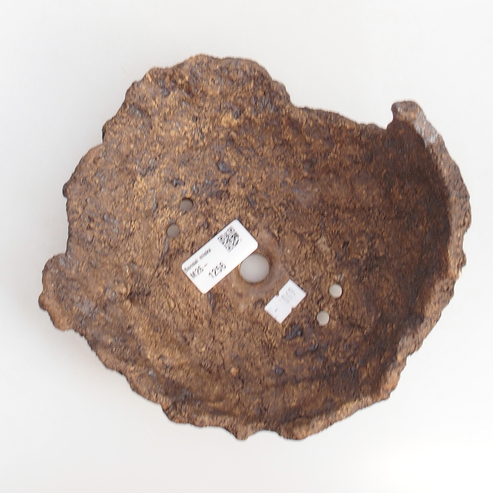 Ceramiczna skorupa 19 x 15 x 14 cm, kolor brązowy